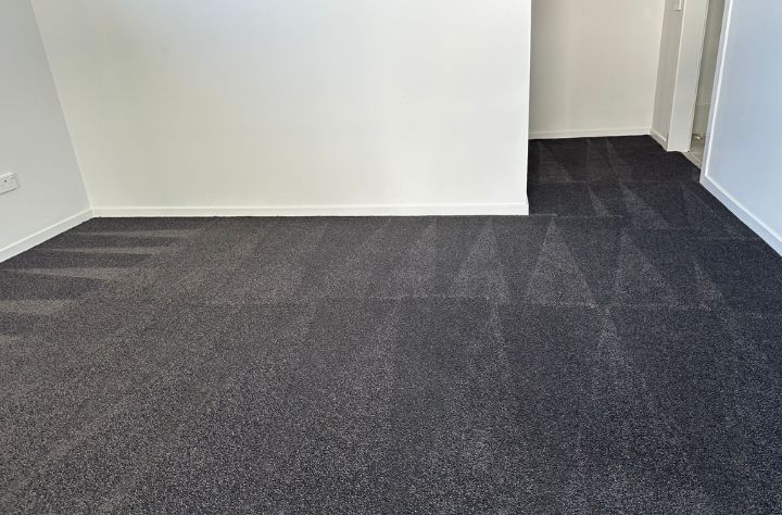 Our Carpet Steam Cleaning Process
