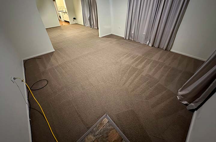 How Often Should You Have Your Carpets Professionally Cleaned?