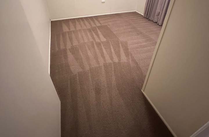 How Professional Carpet Cleaning Works: A Step by Step Guide