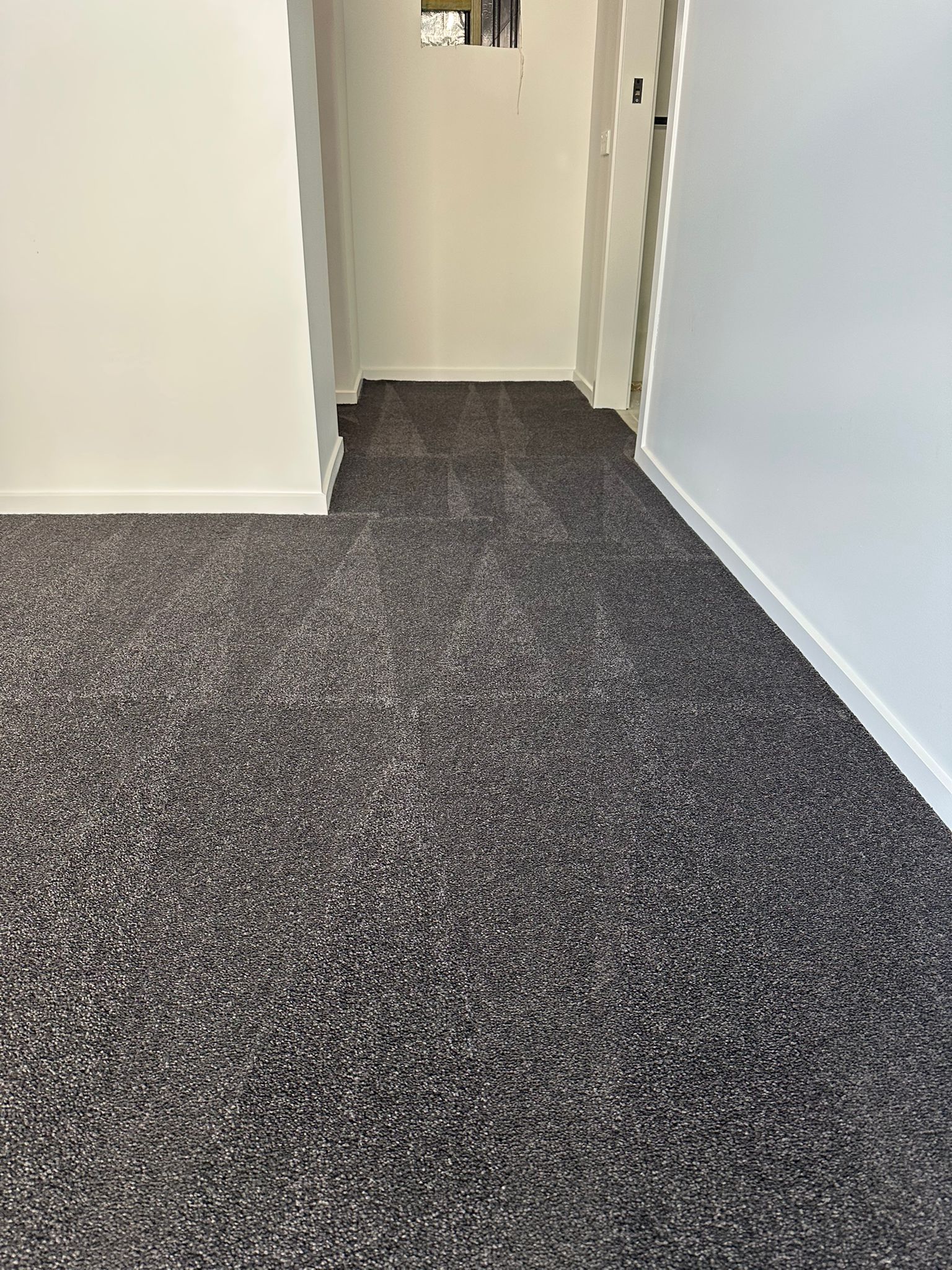 Carpet Cleaner