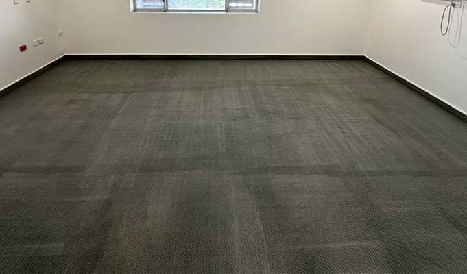 Carpet Cleaning