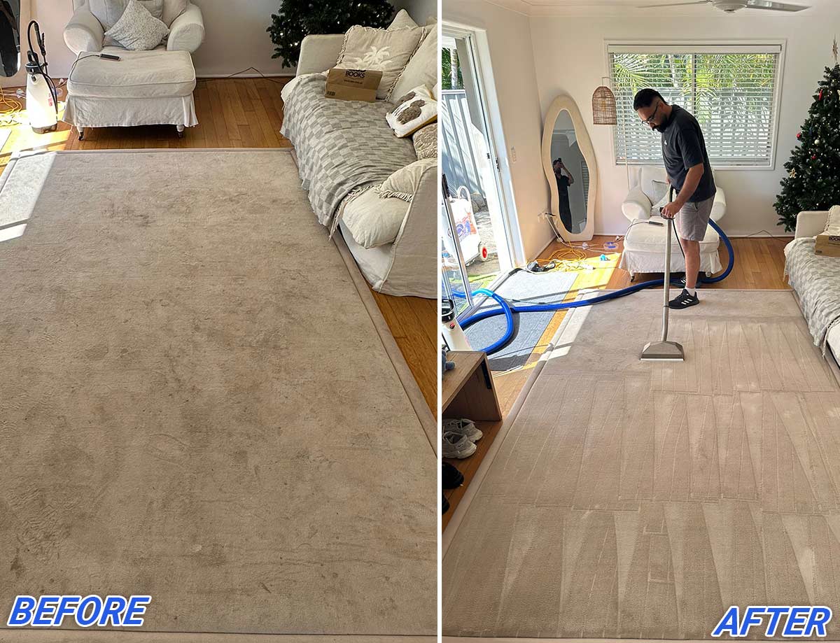 Professional Carpet Cleaning
